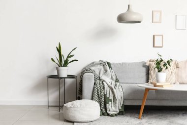 Comfortable grey sofa and tables with houseplants near white wall in living room