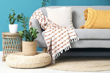 Yumuşak yastıklı rahat gri kanepe ve oturma odasındaki mavi duvarın yanında farklı bitkiler.