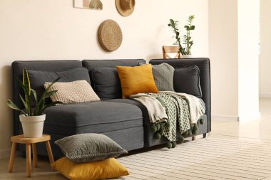 Yumuşak yastıklı rahat siyah kanepe ve oturma odasındaki beyaz duvarın yanında bitkiler.