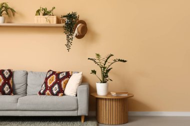Comfortable grey sofa with wooden table and houseplants near beige wall in living room