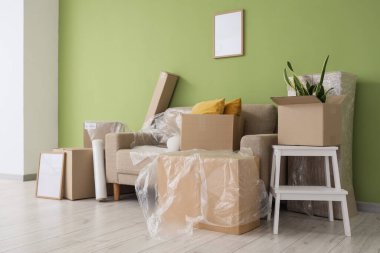 Taşındığı gün yeşil duvarın yanında film ve karton kutular olan kanepe