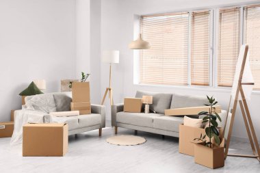 Taşındığı gün ışık odasında karton kutuları olan gri koltuklar