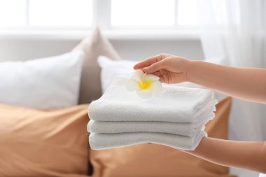 Female hands with clean towels and white plumeria flower in hotel room, closeup