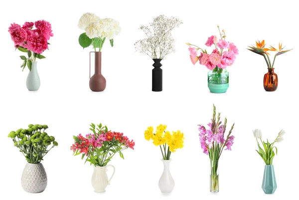 Beyaz arka planda farklı güzel çiçekli vazolar.