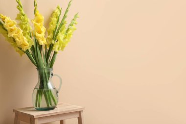 Güzel sarı gladiolus çiçekli vazo bej arka planda taburede.