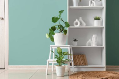 İçinde bitkiler ve yeşil duvarın yanındaki tabure olan bir kitaplık.