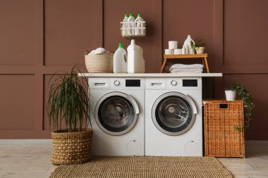 Çamaşır makineleri, sepeti ve palmiye bitkisi olan çamaşır odasının içi.