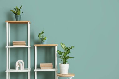 Masalı kitaplıklar ve yeşil duvarın yanındaki bitkiler.