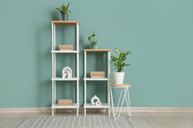 Masalı kitaplıklar ve yeşil duvarın yanındaki bitkiler.