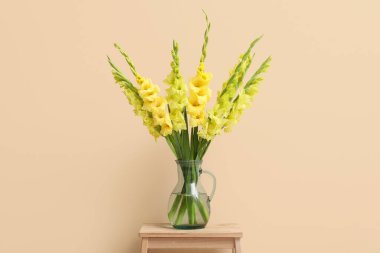 Güzel sarı gladiolus çiçekli vazo bej arka planda taburede.