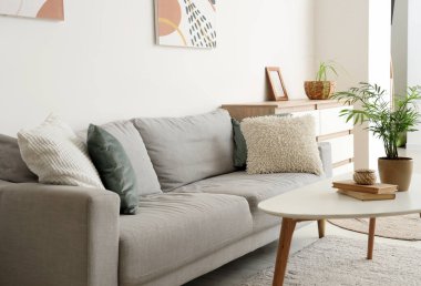 Modern interior of living room with grey sofa and houseplant on table