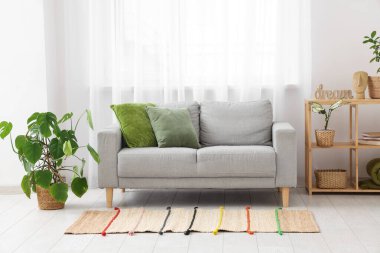 Interior of light living room with grey sofa, green plants and window