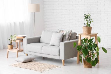 Interior of light living room with grey sofa, green plants and lamp