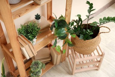 Odasında bej duvarın yanında kitap ve bitkiler olan ahşap raf ünitesi.