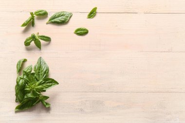 Beyaz ahşap arka planda taze yeşil fesleğen yaprakları