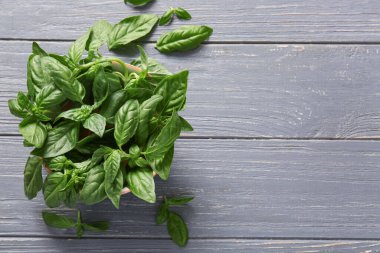 Gri ahşap arka planda taze fesleğen yapraklı kase.