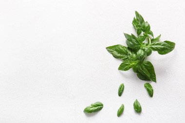 Beyaz arkaplanda taze yeşil fesleğen yaprakları