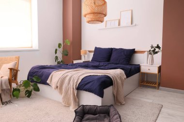 Stylish blue bedding, armchair, bedside tables, pet bed, hanging lamp and houseplants in bedroom
