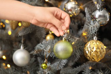 Female hand hanging Christmas ball on fir tree, closeup