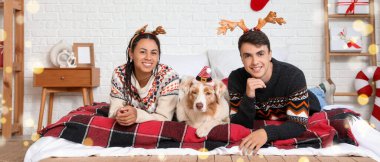 Mutlu genç çift ve köpek Noel arifesinde yatak odasında uzanıyorlar.