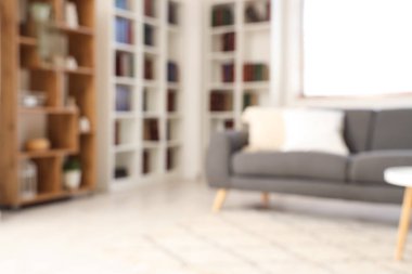 Oturma odasında bir sürü kitabı olan gri kanepe ve kitaplığın bulanık görüntüsü