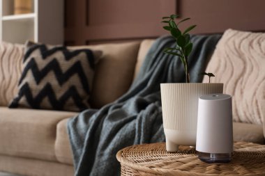 Houseplant and humidifier on wicker table near sofa in living room, closeup