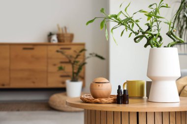 Hava nemlendirici, temel yağlar, bambu saplı vazolar ve oturma odasındaki masada duran bardaklar, yakın plan.