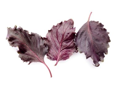 Beyaz arkaplanda taze mor fesleğen yaprakları