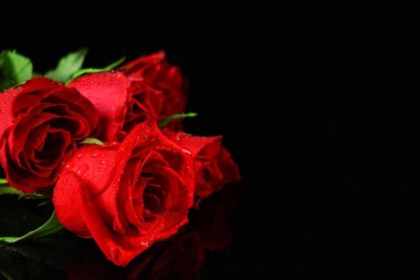 Many beautiful red rose flowers on black background, closeup