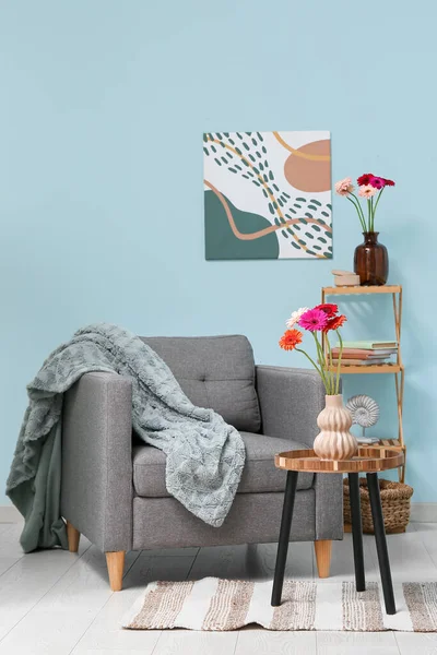 Armchair with plaid and coffee table with gerbera flowers in vase near blue wall in room