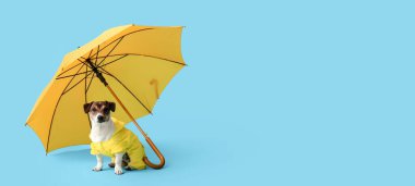 Yağmurluk giymiş komik köpek ve mavi arka planda şemsiyesi olan metin için yeri olan.