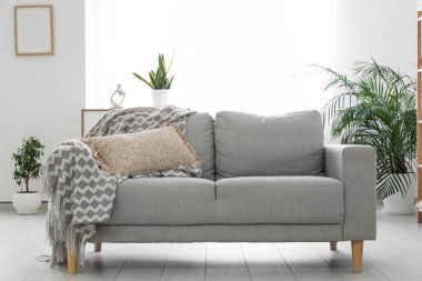 Gri kanepesi ve aydınlık perdesi olan şık bir oturma odası.