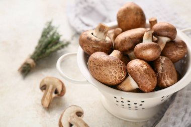 Taze mantarlı Colander ve beyaz arka planda kekik, yakın plan