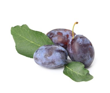 Beyaz arka planda yaprakları olan taze erikler.