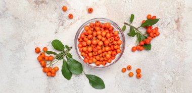 Hafif arka planda rowan üzümlü kase