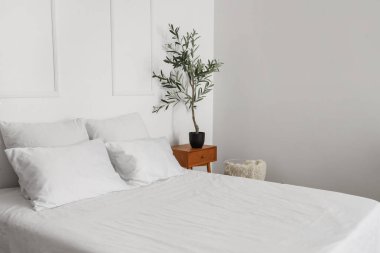 Şık bir yatak odası, rahat bir yatak odası ve komodinin üzerinde zeytin ağacı.