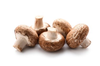 Beyaz arka planda izole edilmiş taze şampiyon mantarları, yakın plan