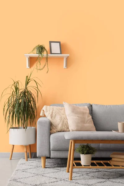 Oturma odasının iç tarafında rahat bir kanepe, bank ve çiçekler var.