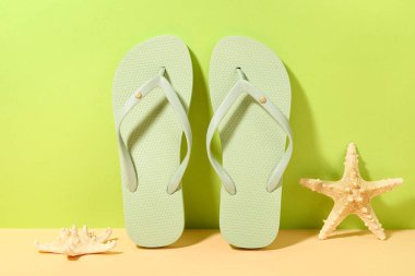 Yeşil arka planda şık plaj ayakkabıları ve deniz yıldızları olan kompozisyon, yakın plan.