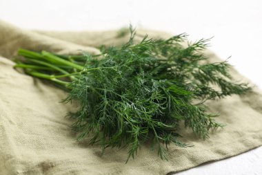 Beyaz arkaplanda taze yeşil dereotu, yakın plan