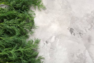 Gri zemin üzerine yeşil taze dereotu