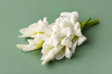 Yeşil arka planda güzel beyaz gladiolus çiçekleri, yakın plan