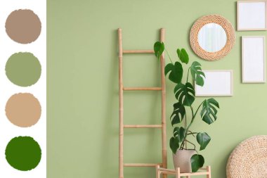 İçinde Monstera bitkisi, merdiven rafı ve boş çerçeveler olan bir oda. Farklı renk desenleri