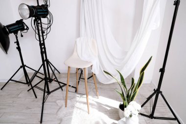 Profesyonel ekipman, sandalye, çiçek ve halı ile fotoğraf stüdyosunun içi