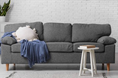 Yastıklı rahat bir kanepe ve oturma odasının içinde kitap olan kahve masasının yanında ekoseli.