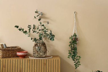 Okaliptüs dallı vazo odada bej duvarın yanında klozette.