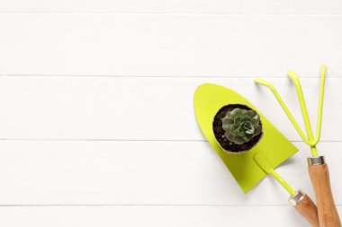 Beyaz ahşap arka planda tırmık, kürek ve bitki içeren bahçe aletleri. Üst görünüm