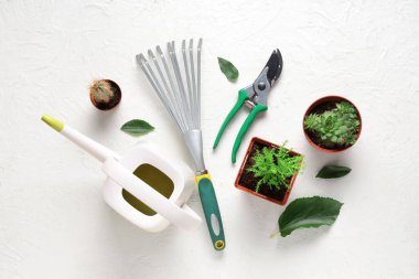 Beyaz arka planda tırmık, budama ve sulama kutuları olan bahçe aletleri. Üst görünüm