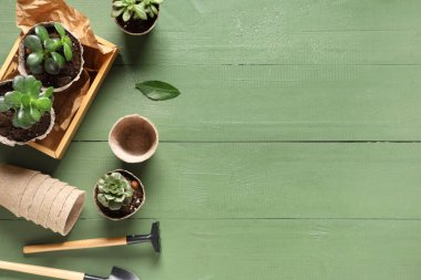 Yeşil ahşap arka planda bitkilerle birlikte kürek, tırmık ve turba kapları ile bahçe malzemeleri. Üst görünüm