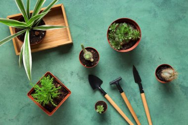 Yeşil grunge arka planda bitkiler ve bahçe aletleri. Üst görünüm